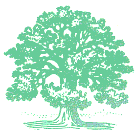 Oak-tree 10.6k